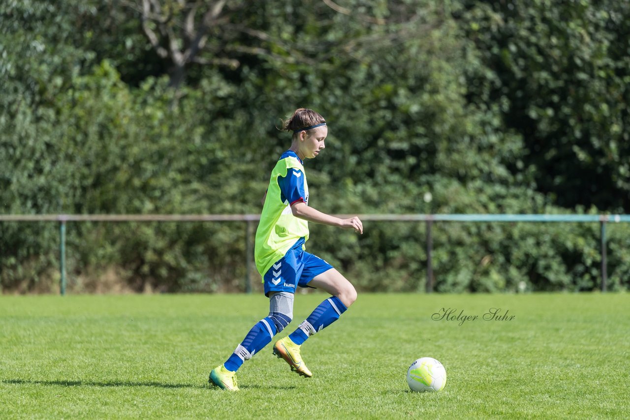 Bild 78 - B-Juniorinnen VfL Pinneberg - HSV : Ergebnis: 1:4